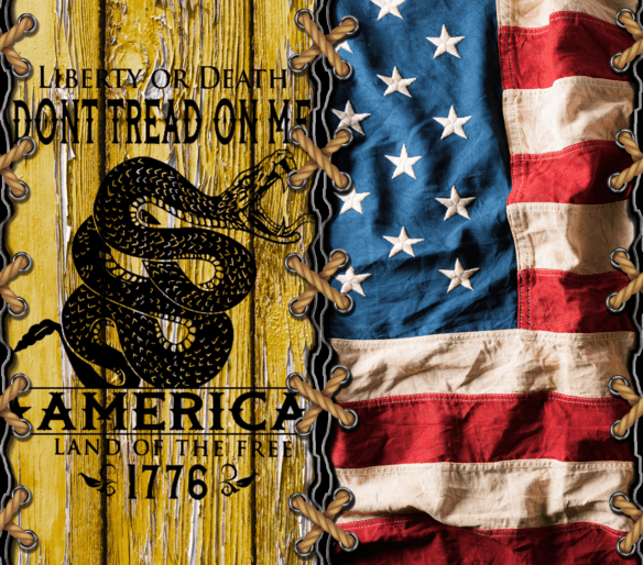Dont Tread on me stitched to American Flag