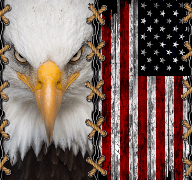 Eagle stitched to Flag