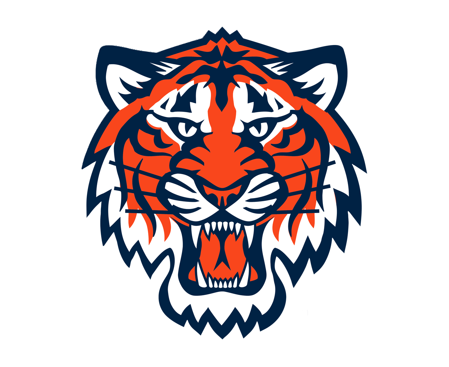 Tiger Head
